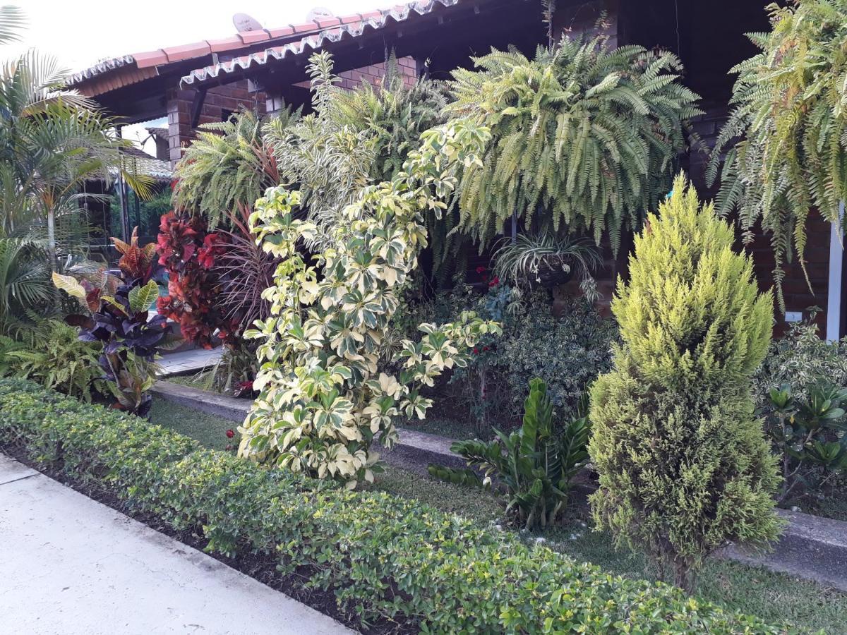 Chale Aconchegante Na Serra Pernambucana - Em Condominio - Gravata Екстер'єр фото